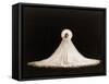 Loie Fuller, American Born Dancer Who Spent Most of Her Professional Life after 1892 in France-null-Framed Stretched Canvas