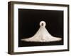 Loie Fuller, American Born Dancer Who Spent Most of Her Professional Life after 1892 in France-null-Framed Photo