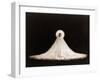 Loie Fuller, American Born Dancer Who Spent Most of Her Professional Life after 1892 in France-null-Framed Photo