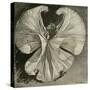 Loïe Fuller at the Folies Bergère by Théophile Steinlen-Theophile Alexandre Steinlen-Stretched Canvas