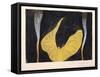 Loïe Fuller in the Dance the Archangel, 1902-Koloman Moser-Framed Stretched Canvas