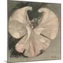 Loie Fuller (Mary Louise Fuller) American Dancer at the Folies Bergere Paris-Th?ophile Alexandre Steinlen-Mounted Photographic Print