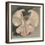 Loie Fuller (Mary Louise Fuller) American Dancer at the Folies Bergere Paris-Th?ophile Alexandre Steinlen-Framed Photographic Print