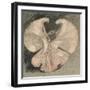 Loie Fuller (Mary Louise Fuller) American Dancer at the Folies Bergere Paris-Th?ophile Alexandre Steinlen-Framed Photographic Print