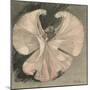 Loie Fuller (Mary Louise Fuller) American Dancer at the Folies Bergere Paris-Th?ophile Alexandre Steinlen-Mounted Photographic Print