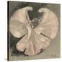 Loie Fuller (Mary Louise Fuller) American Dancer at the Folies Bergere Paris-Th?ophile Alexandre Steinlen-Stretched Canvas