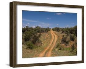Loisaba Wilderness Conservancy, Laikipia, Kenya, East Africa, Africa-Sergio Pitamitz-Framed Photographic Print