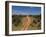 Loisaba Wilderness Conservancy, Laikipia, Kenya, East Africa, Africa-Sergio Pitamitz-Framed Photographic Print