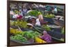 Lok Baintan Floating Market, Banjarmasin, Kalimantan, Indonesia-Keren Su-Framed Premium Photographic Print