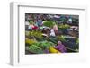 Lok Baintan Floating Market, Banjarmasin, Kalimantan, Indonesia-Keren Su-Framed Photographic Print