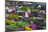 Lok Baintan Floating Market, Banjarmasin, Kalimantan, Indonesia-Keren Su-Mounted Photographic Print