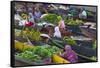 Lok Baintan Floating Market, Banjarmasin, Kalimantan, Indonesia-Keren Su-Framed Stretched Canvas