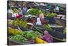 Lok Baintan Floating Market, Banjarmasin, Kalimantan, Indonesia-Keren Su-Stretched Canvas