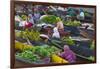 Lok Baintan Floating Market, Banjarmasin, Kalimantan, Indonesia-Keren Su-Framed Photographic Print