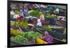 Lok Baintan Floating Market, Banjarmasin, Kalimantan, Indonesia-Keren Su-Framed Photographic Print