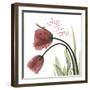 LOL Tulips L83-Albert Koetsier-Framed Photographic Print