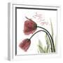 LOL Tulips L83-Albert Koetsier-Framed Photographic Print