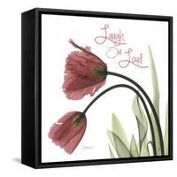 LOL Tulips L83-Albert Koetsier-Framed Stretched Canvas