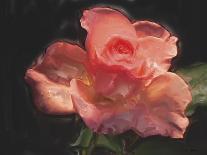Painterly Flower III-Lola Henry-Photographic Print