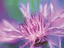 Painterly Flower VI-Lola Henry-Photographic Print