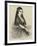 Lola Montez-null-Framed Giclee Print