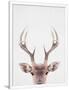 Gramercy White