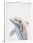 Gramercy White