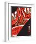 Lola's Fiery Wing-Belen Mena-Framed Giclee Print