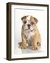 Lola-Rachael Hale-Framed Art Print