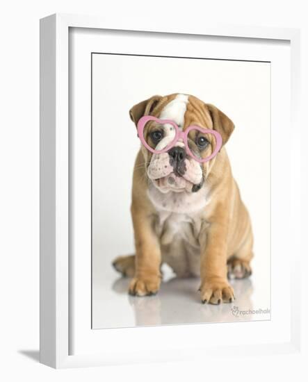 Lola-Rachael Hale-Framed Art Print