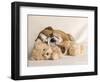 Lola-Rachael Hale-Framed Photographic Print