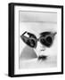 LOLITA, 1962 directed by STANLEY KUBRICK Sue lyon (b/w photo)-null-Framed Photo