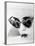 Lolita, 1962-null-Framed Photographic Print