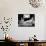 Lolita, 1962-null-Photographic Print displayed on a wall