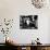 Lolita, James Mason, Shelley Winters, 1962-null-Photo displayed on a wall