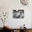 Lolita, Sue Lyon, 1962-null-Mounted Photo displayed on a wall