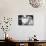 Lolita, Sue Lyon, 1962-null-Photo displayed on a wall