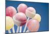 Lollipops-null-Mounted Photographic Print