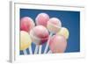 Lollipops-null-Framed Photographic Print