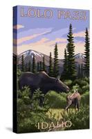 Lolo Pass, Idaho - Moose and Calf-Lantern Press-Stretched Canvas