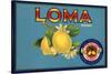 Loma Brand - Santa Paula, California - Citrus Crate Label-Lantern Press-Stretched Canvas