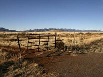 South Arizona Near Mexican Border, United States of America, North America-Lomax David-Photographic Print