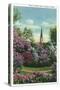Lombard, Illinois, Lilacia Park, View of Blooming Lilacs, Church Belltown in Distance-Lantern Press-Stretched Canvas