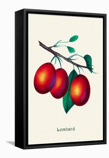 Lombard Plums-null-Framed Stretched Canvas