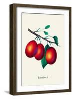 Lombard Plums-null-Framed Art Print