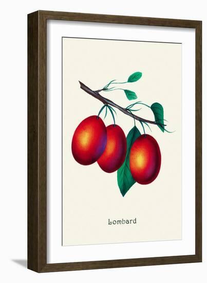 Lombard Plums-null-Framed Art Print