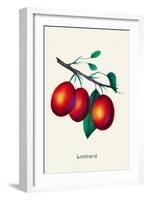 Lombard Plums-null-Framed Art Print