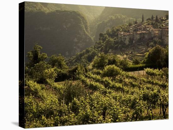 Lombardy, Lake District, Lake Garda, Tremosine Plateau, Sermerio, Vineyards, Italy-Walter Bibikow-Stretched Canvas