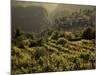 Lombardy, Lake District, Lake Garda, Tremosine Plateau, Sermerio, Vineyards, Italy-Walter Bibikow-Mounted Photographic Print