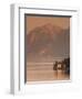 Lombardy, Lakes Region, Lake Como-Lake Lecco, Oliveto, Villa and Mountains, Italy-Walter Bibikow-Framed Photographic Print